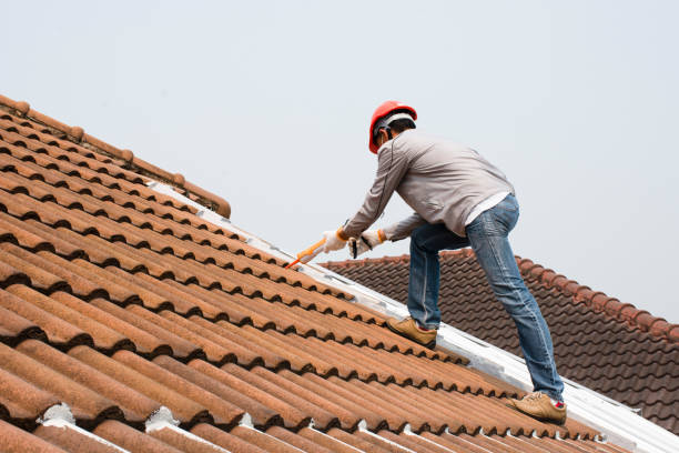 Best Rubber Roofing (EPDM, TPO)  in Galesburg, IL